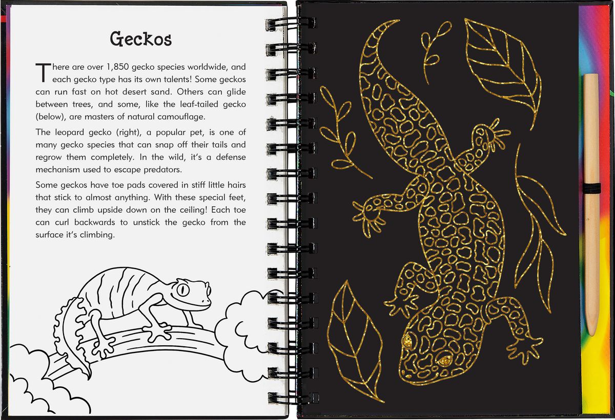 Peter Pauper Press Reptiles & Amphibians Scratch and Sketch