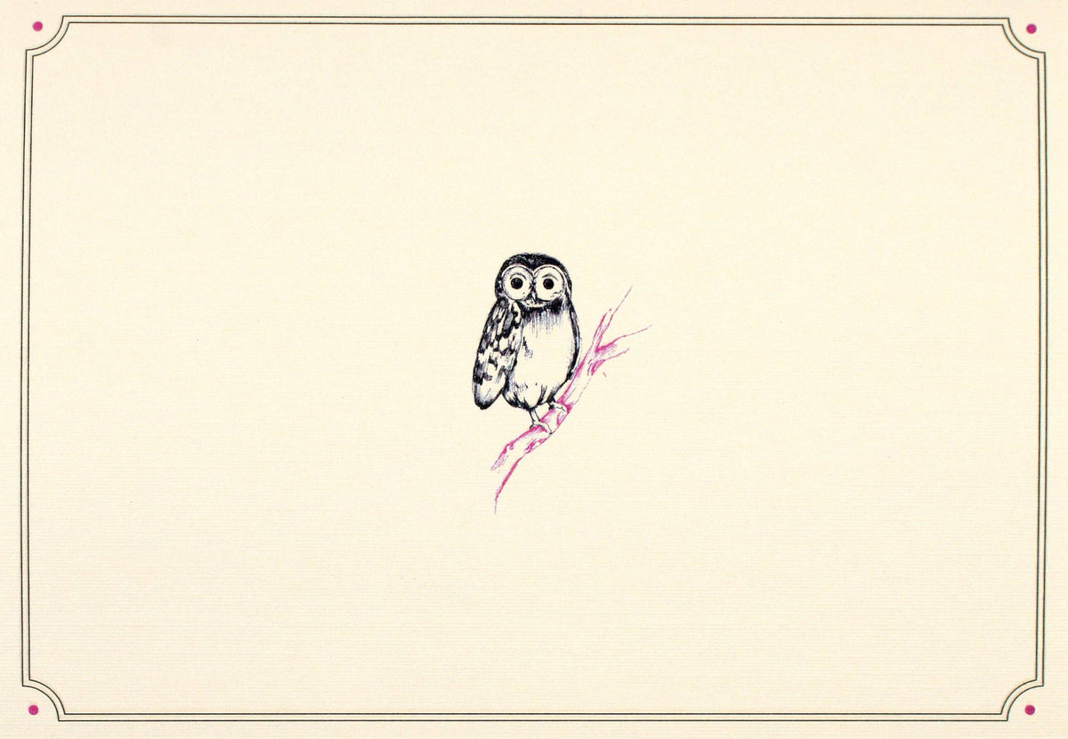 Peter Pauper Press Owl Portrait Note Cards