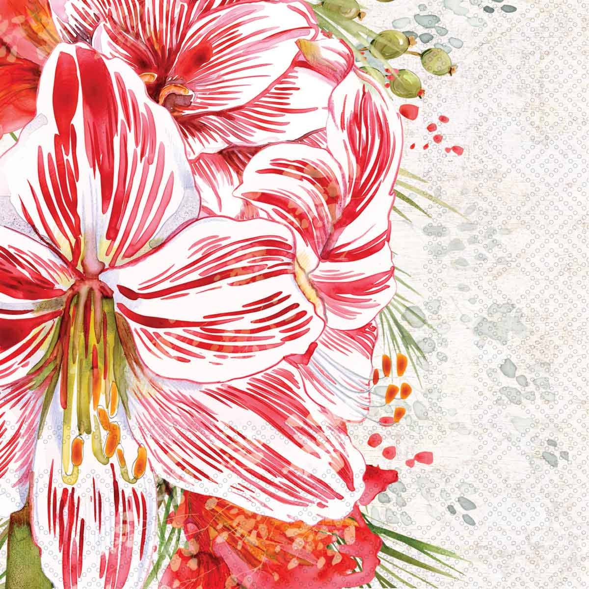 Paper Cocktail Napkins 20 Ct Striped Amaryllis Christmas