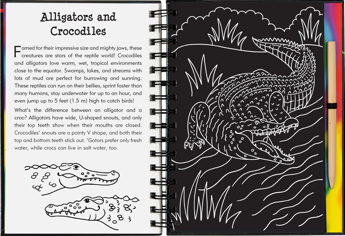 Peter Pauper Press Reptiles & Amphibians Scratch and Sketch