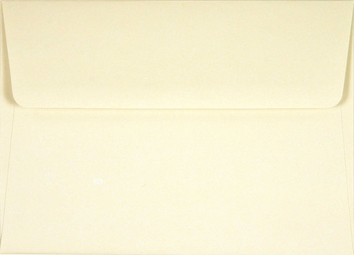 Peter Pauper Press Navy Blue Thank You Notes