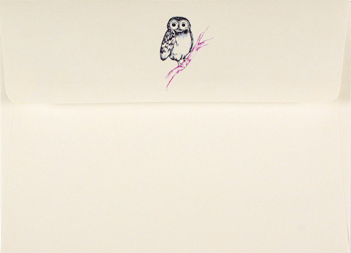 Peter Pauper Press Owl Portrait Note Cards