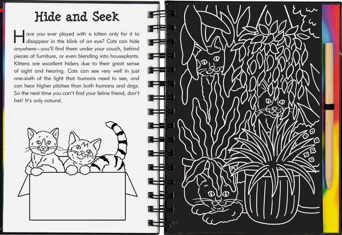 Peter Pauper Press Kittens Scratch and Sketch