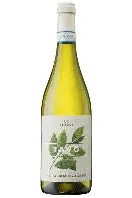 Ilauri Tavo Pinot Grigio 2025