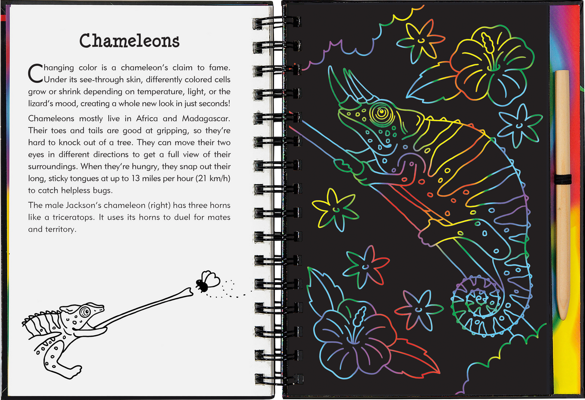 Peter Pauper Press Reptiles & Amphibians Scratch and Sketch