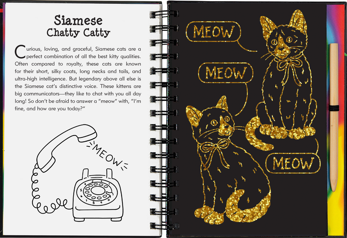 Peter Pauper Press Kittens Scratch and Sketch