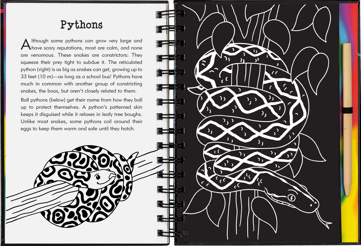 Peter Pauper Press Reptiles & Amphibians Scratch and Sketch