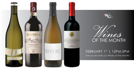Wines of the Month - February 2020