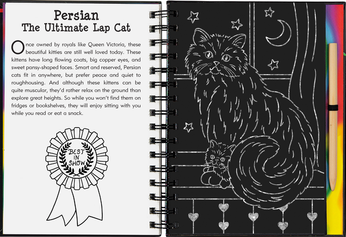 Peter Pauper Press Kittens Scratch and Sketch