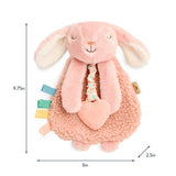 Itzy Ritzy Itzy Friends Lovey™ Plush: Ana the Bunny