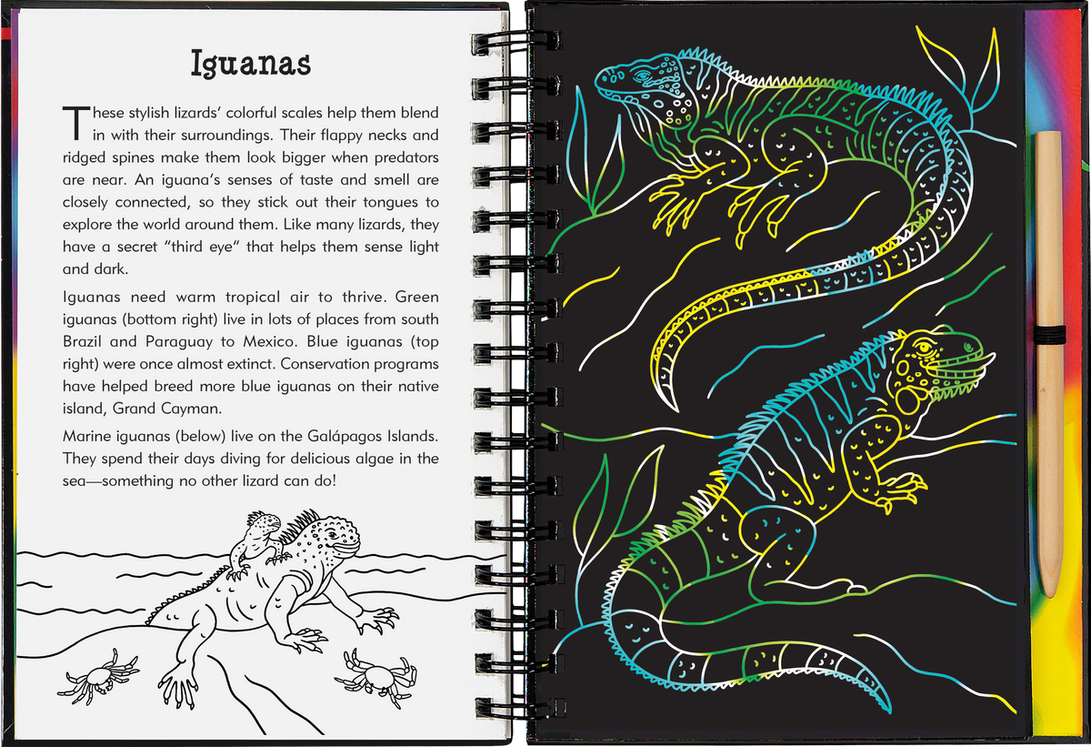 Peter Pauper Press Reptiles & Amphibians Scratch and Sketch