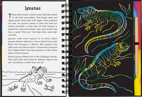 Peter Pauper Press Reptiles & Amphibians Scratch and Sketch