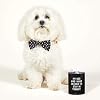 SBDS Sips 12oz Black Tumbler - My Dog