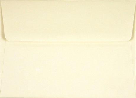 Peter Pauper Press Navy Blue Thank You Notes