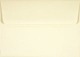 Peter Pauper Press Navy Blue Thank You Notes