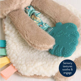 Itzy Ritzy Itzy Friends Lovey™ Plush: Ana the Bunny