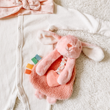 Itzy Ritzy Itzy Friends Lovey™ Plush: Ana the Bunny