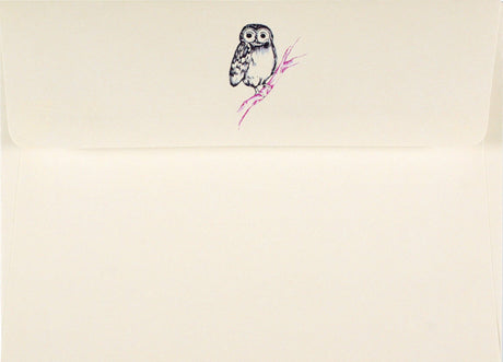 Peter Pauper Press Owl Portrait Note Cards