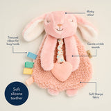 Itzy Ritzy Itzy Friends Lovey™ Plush: Ana the Bunny