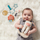 Itzy Ritzy Bitzy Busy Ring™ Teething Activity Toy: Farm