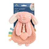 Itzy Ritzy Itzy Friends Lovey™ Plush: Ana the Bunny