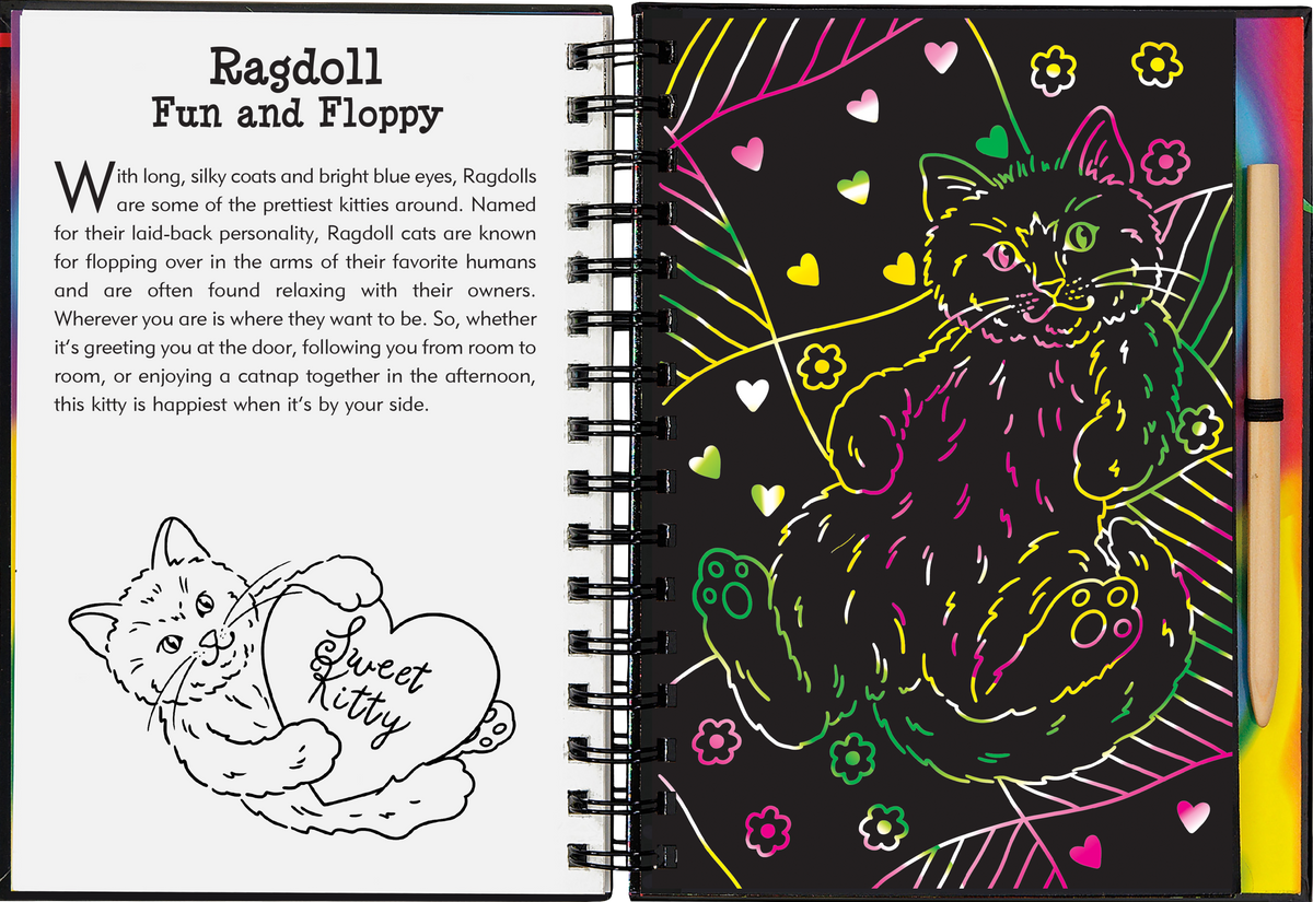 Peter Pauper Press Kittens Scratch and Sketch