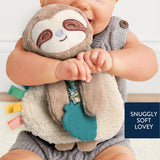 Itzy Ritzy Itzy Friends Lovey™ Plush: Ana the Bunny