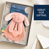 Itzy Ritzy Itzy Friends Lovey™ Plush: Ana the Bunny