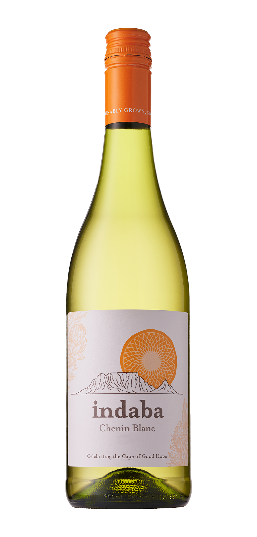 Indaba Chenin Blanc