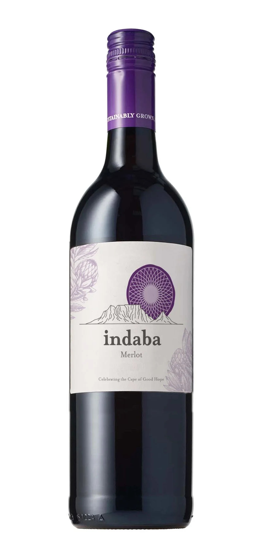 Indaba Merlot