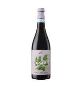 Ilauri Bajo Montepulciano d'Abruzzo 2025