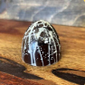 Cocoa Trail Chocolates Cookies N Cream Truffle