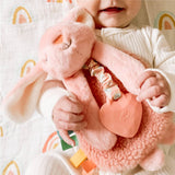 Itzy Ritzy Itzy Friends Lovey™ Plush: Ana the Bunny