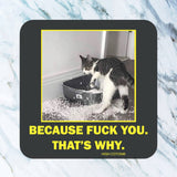 Because F*ck You. That's Why coaster