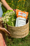 Poppy Popcorn Company Pimento Cheese Popcorn