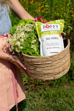 Poppy Popcorn Company Dill Pickle Popcorn